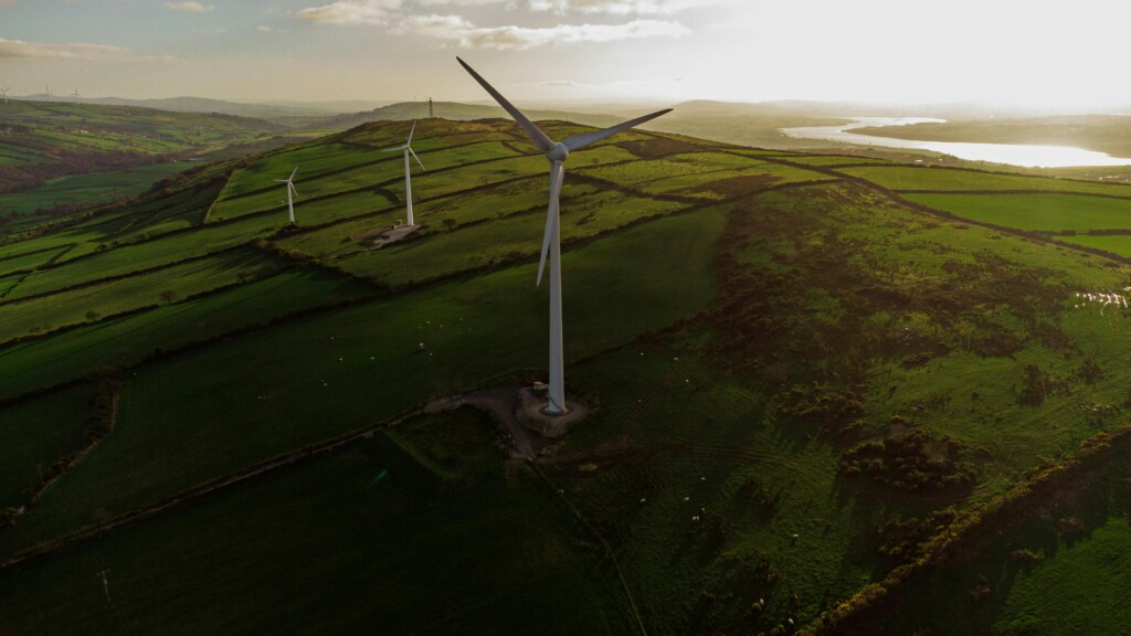 biodiversity net gain survey 3