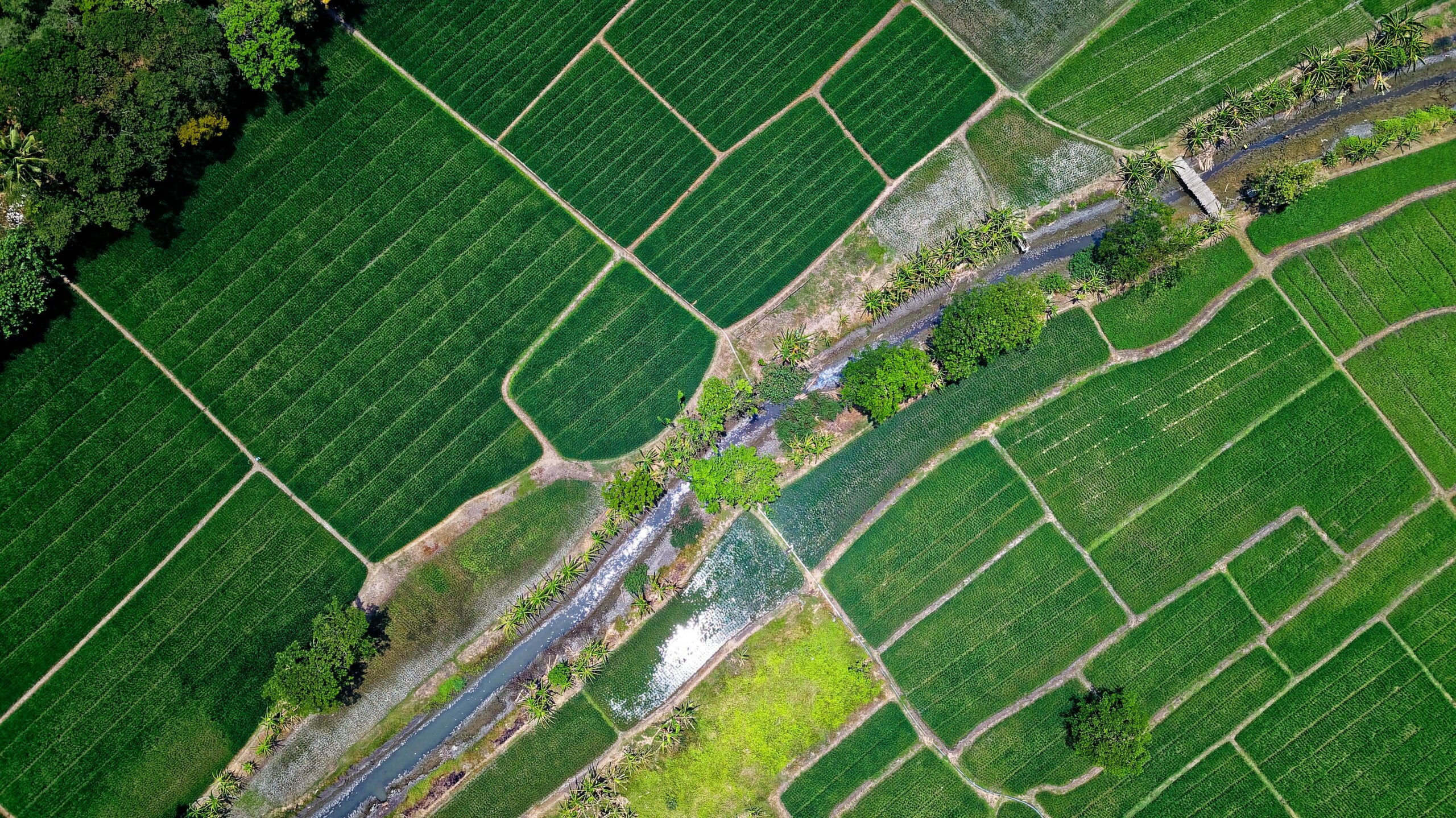 regenerative agriculture and sustainable farming